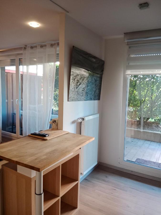 Tres Bel Appartement Rez De Jardin Appart De 53M2. Pfastatt Экстерьер фото
